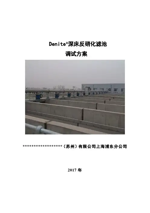 反硝化滤池调试方案