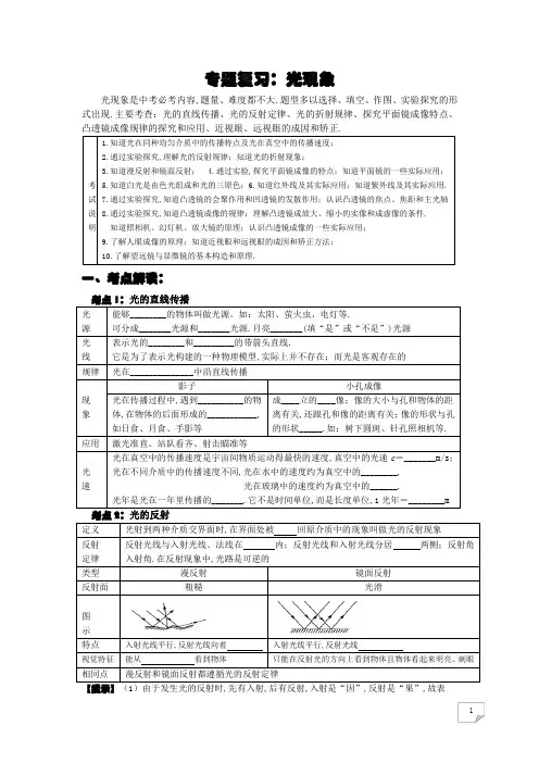 中考 专题复习：光现象