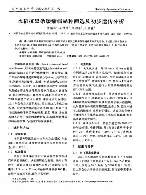 水稻抗黑条矮缩病品种筛选及初步遗传分析