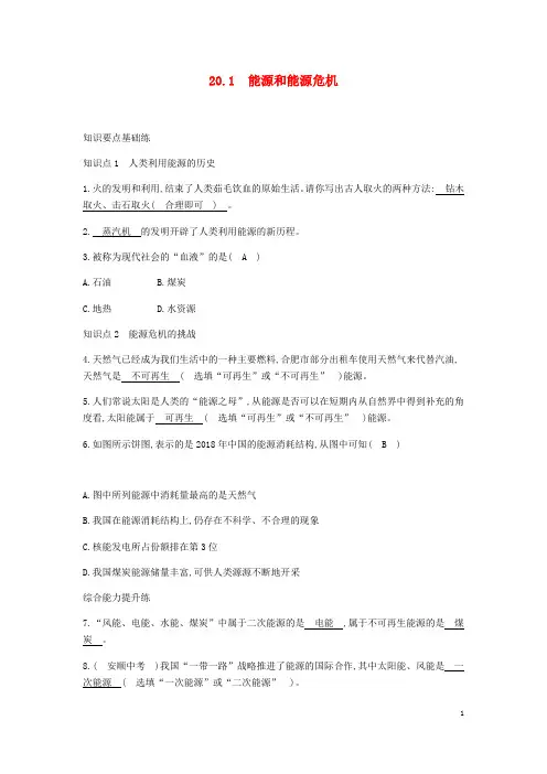 九年级物理下册20.1能源和能源危机精炼新版粤教沪版