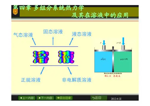 物理化学-傅献彩第五版ppt4.多组分
