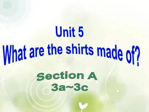人教九年级Unit 5 section A 3a--3c (共22张PPT)