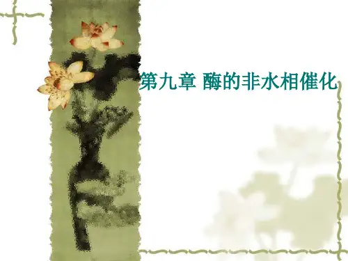 9酶的非水相催化