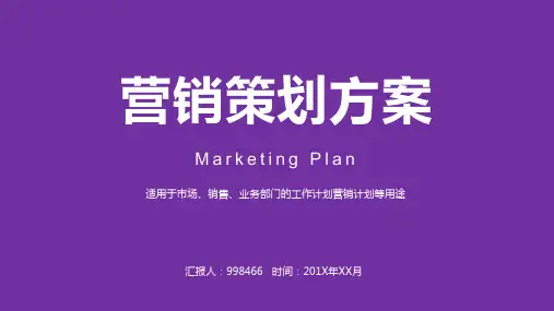 内衣 营销策划方案ppt