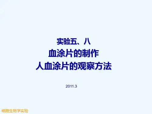 实验58血涂片的制作及人血图片的观察