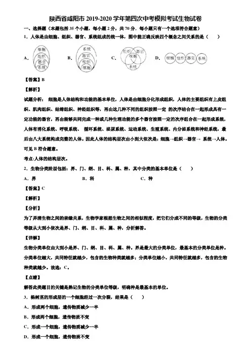 陕西省咸阳市2019-2020学年第四次中考模拟考试生物试卷含解析