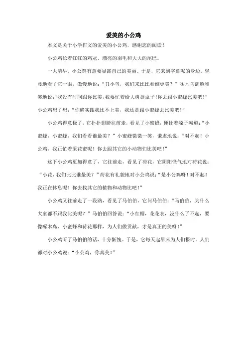 爱美的小公鸡_小学作文_2
