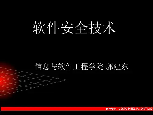 软件安全-01-软件与软件安全