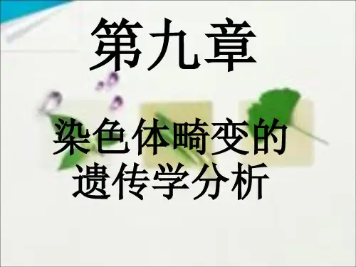 染色体畸变的遗传学分析