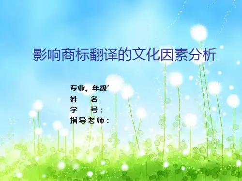 翻译论文PPT