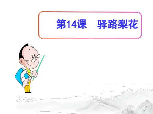 (名师整理)部编人教版语文七年级下册第14课《驿路梨花》精品习题课件