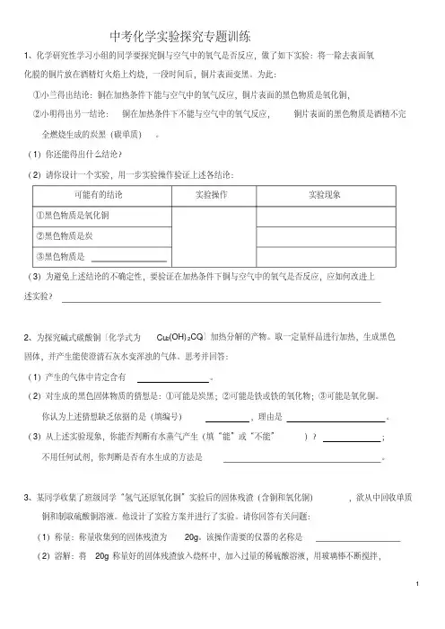 中考化学实验探究专题训练