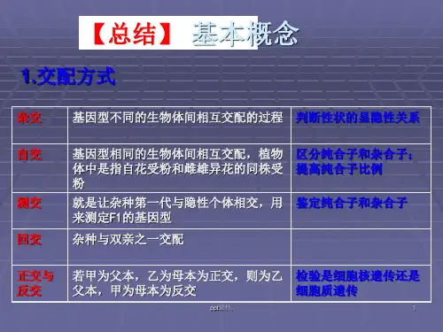 基因分离定律概念归纳及解题技巧专题ppt课件