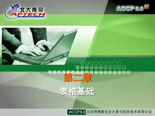 accpt教程,使用HTML语言开发商业站点(HTML)2