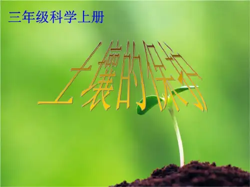 三年级科学上册《土壤的保护》课件