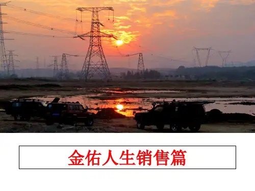 最新金佑人生销售篇