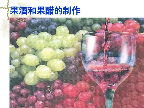 1.1 果酒和果醋的制作