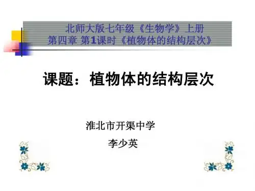 植物体的结构层次
