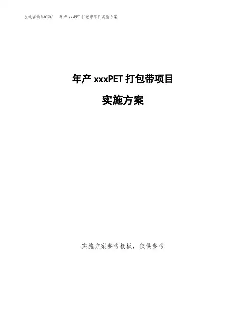 年产xxxPET打包带项目实施方案(项目申请参考)
