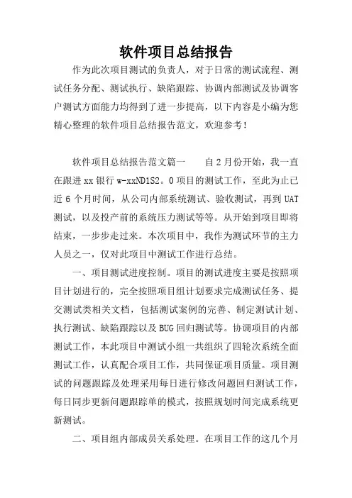 软件项目总结报告