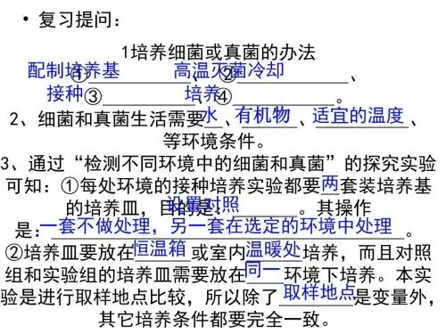 【人教版】八年级生物上册：5.4.2《细菌》课件