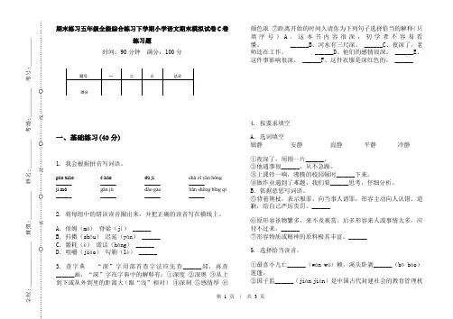 期末练习五年级全能综合练习下学期小学语文期末模拟试卷C卷练习题