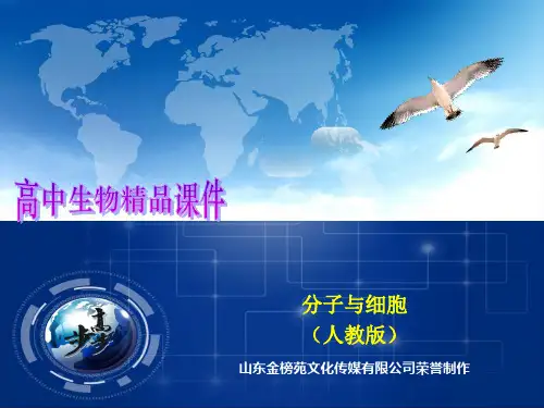 第二章 组成细胞的分子