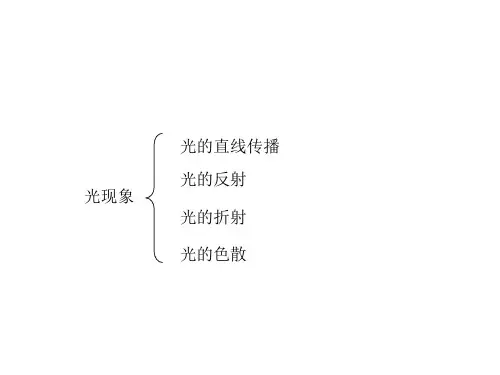 人教版八年级物理上册第四章知识结构图