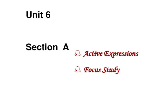 语言学习unit 6section A