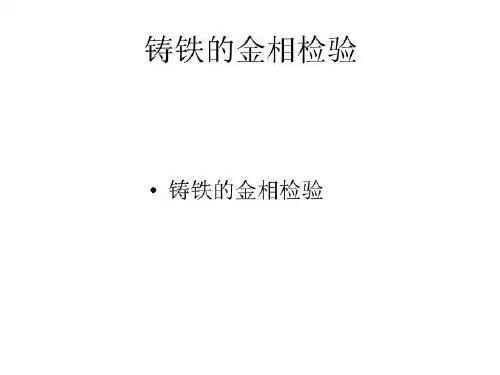 铸铁的金相检验