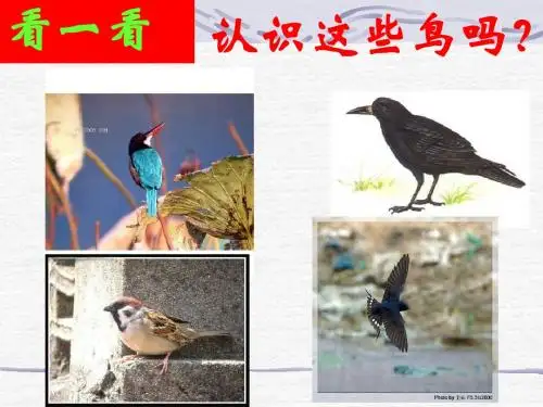 明天不封阳