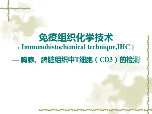 免疫组织化学技术