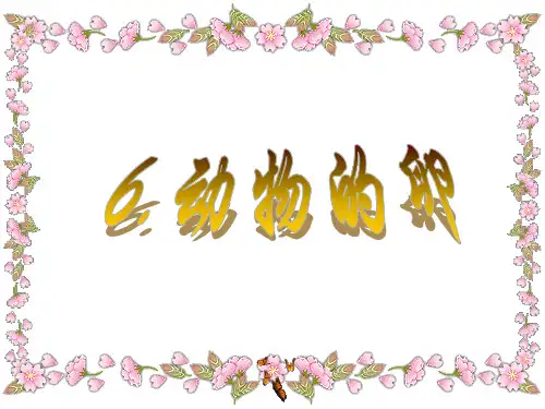 动物的卵
