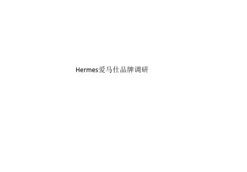 Hermes爱马仕品牌调研