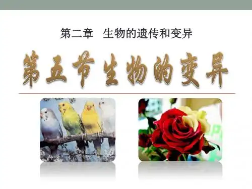 《生物的变异》生物的遗传和变异PPT课件