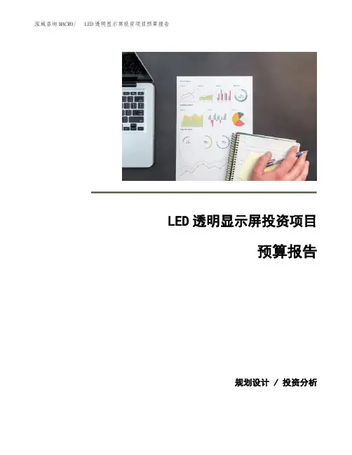 LED透明显示屏投资项目预算报告