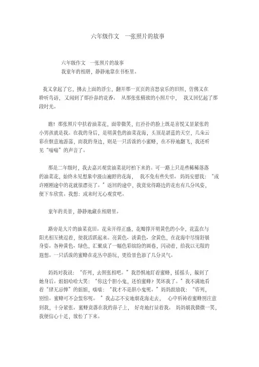 六年级作文一张照片的故事
