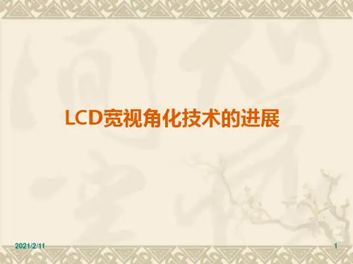显示与成像技术-第一部显示第三章3-液晶广角技术概述