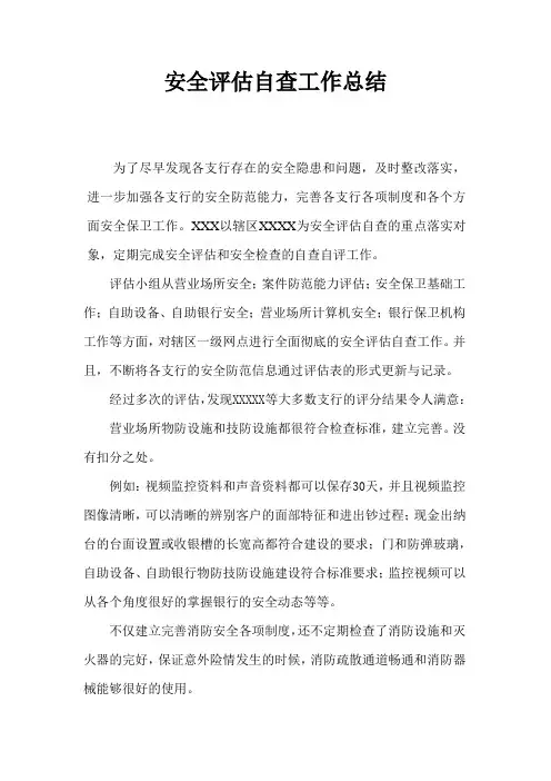 安全评估自查工作总结
