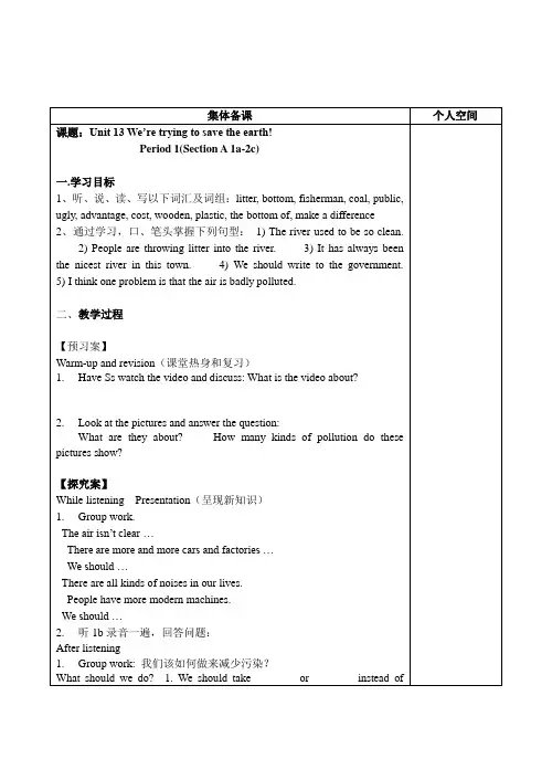 人教版初中英语九年级Unit13 We're trying to save the earth