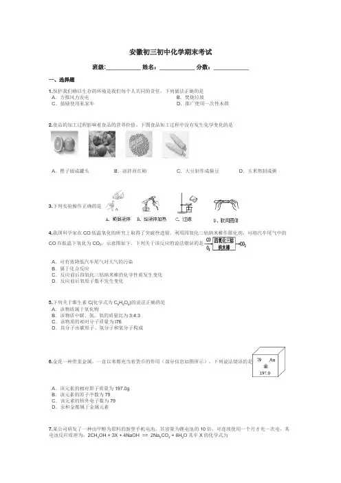 安徽初三初中化学期末考试带答案解析
