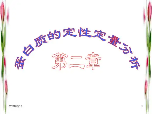 蛋白质定性定量分析