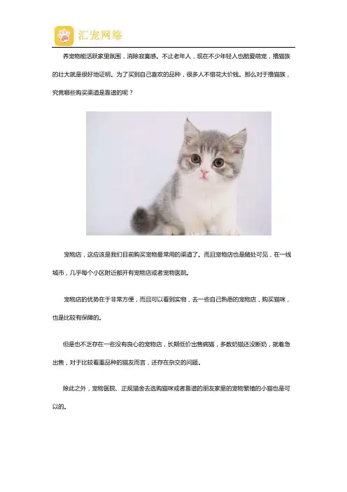 购买宠物猫的放心渠道有哪些
