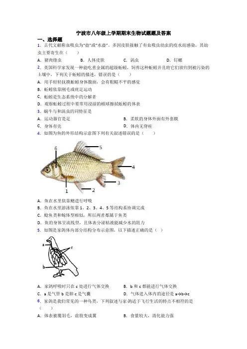 宁波市八年级上学期期末生物试题题及答案