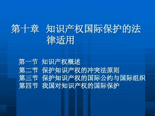 知识产权国际保护的法律适用(ppt 30页)