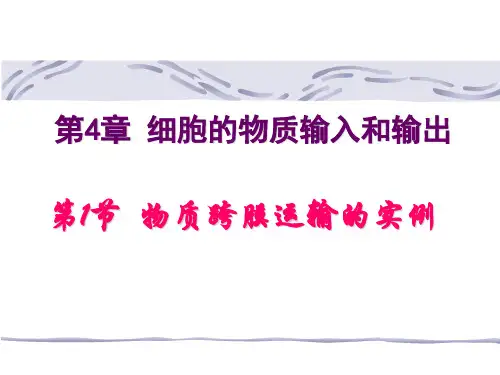 4-1物质跨膜运输的实例(PPT36页)
