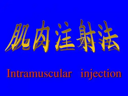 肌内注射法
