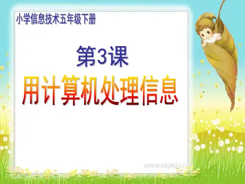 用计算机处理信息