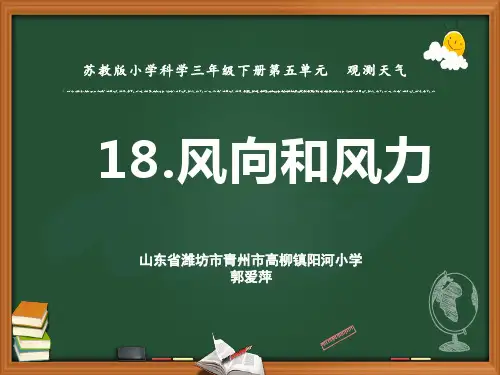 三年级下 风力和风向 苏教版
