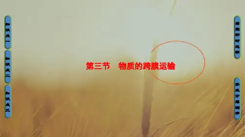 2018学年高中生物必修一课件:第3章 细胞的结构和功能-第3节